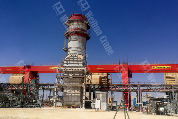 Gantry Crane Installation for Egypt Power Project
