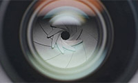 Video and Gallery